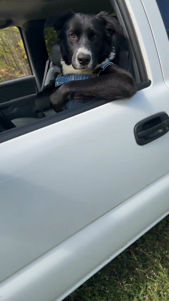 Hit The Road Dude video